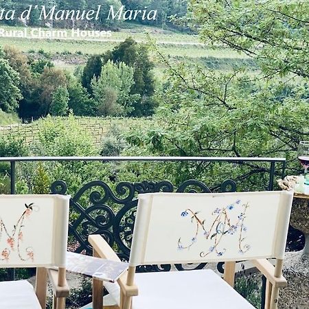 Amarante-Quinta D'Manuel Maria, Rural Charm Houses Exteriör bild